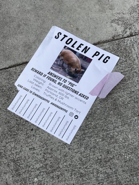 Stolen Pig Flyer Found on San Francisco Sidewalk