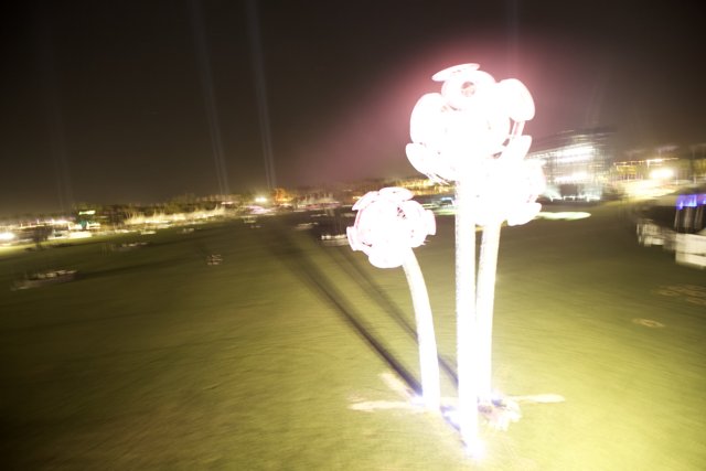 Lighted Sculpture Shining Bright in Field at Coachella 2011