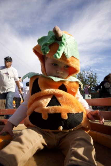 Pumpkin Kid: A Day at Halfmoon Bay, 2023
