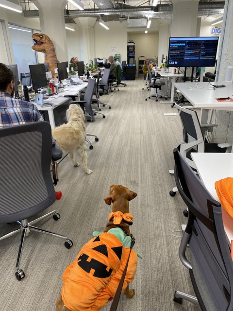 Halloween in the Office