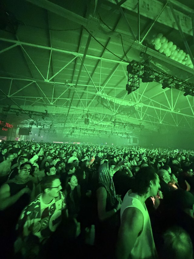 Massive Crowd at Electronic Music Concert Under Green Lights