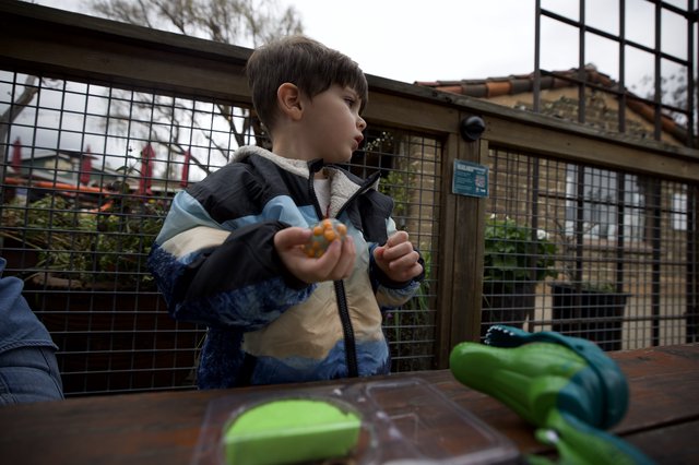 Young Boy Eating at Outdoor Zoo Enclosure