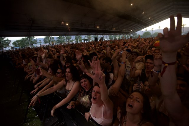 Concertgoers' Hands Up in Excitement