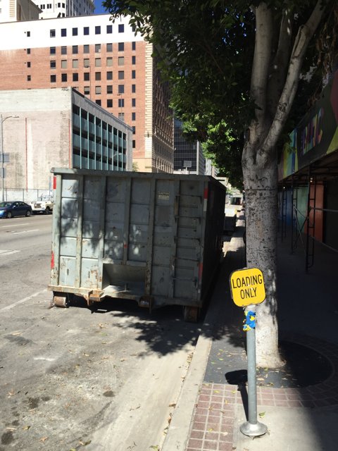 Abandoned Dumpster on City Street