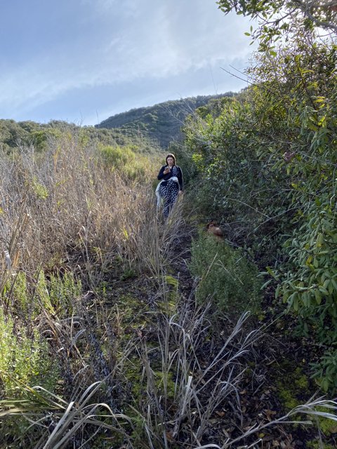 A Walk in the Carmel Valley Wilderness