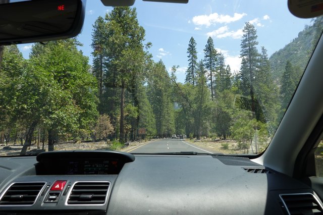 Scenic Mountain Road Drive Through Forest