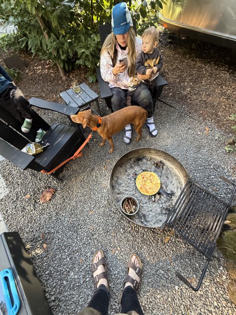 Morning Moments in Guerneville