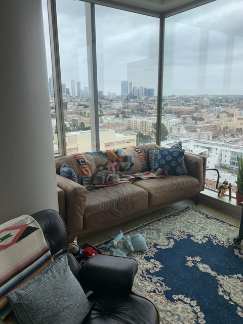 Urban Living Room with a View