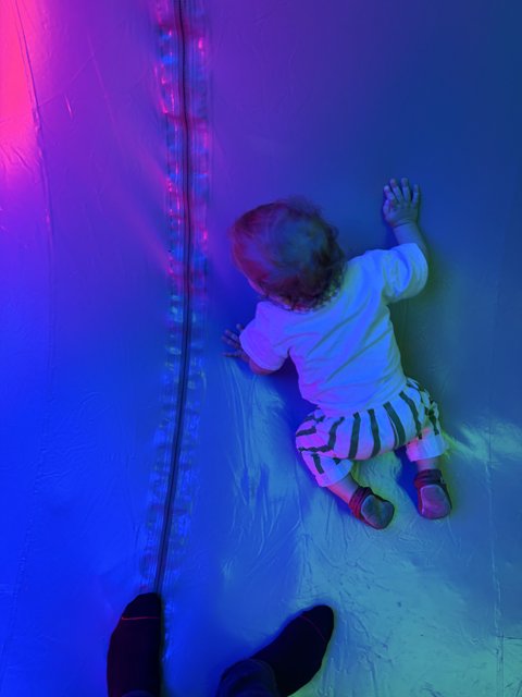 Playtime Hues