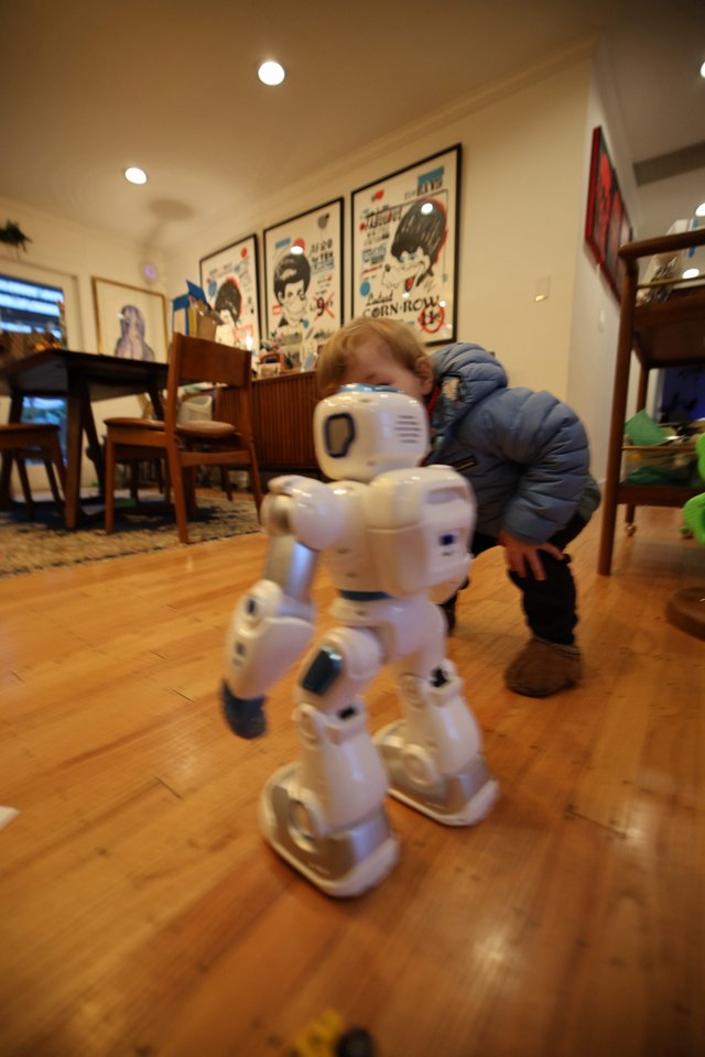 Child and Robot Play Together at Home