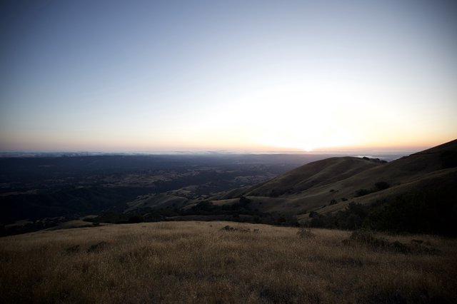 Previous