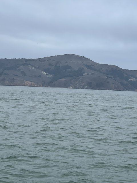 Serenity at San Francisco Bay