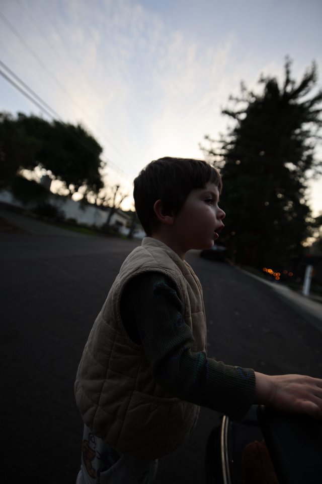 Young Boy on Skateboard at Dusk in Suburban Street