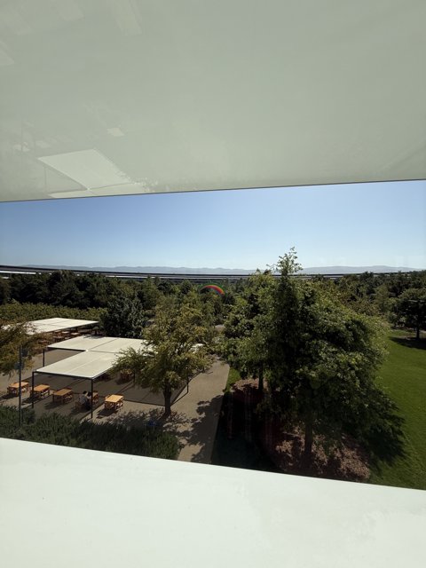Serene Views at Apple Park