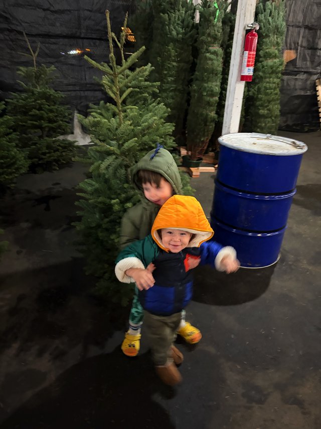 Children Exploring a Christmas Tree Farm