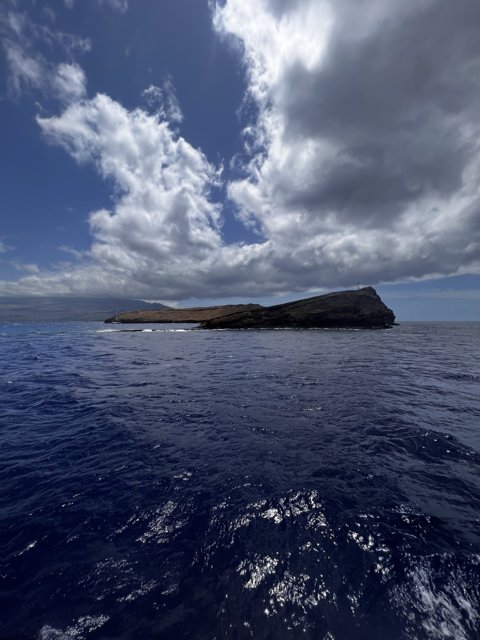 A Serene View of the Hawaiian Coast