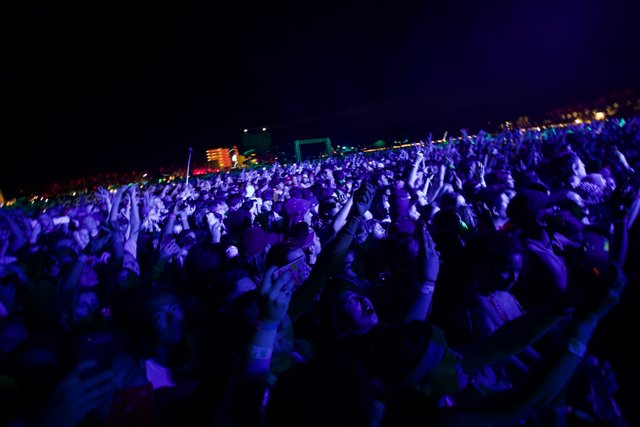 Electric Night: A Concert Crowd Reaches for the Sky