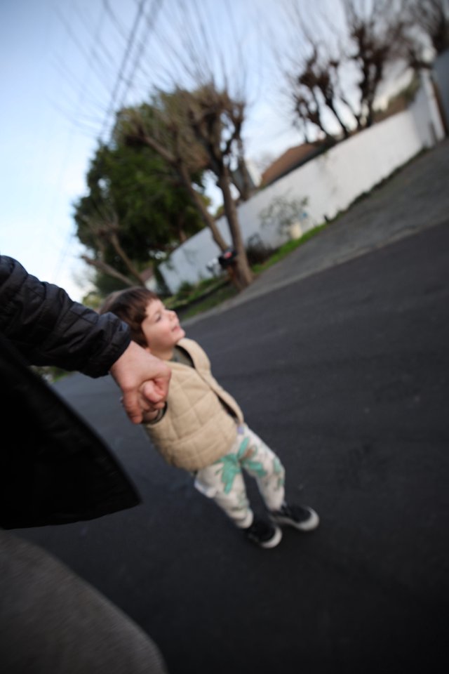 Parent and Child Walking Hand in Hand at Dusk