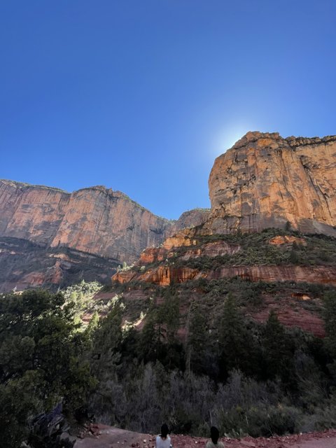 Majestic views of Zion National Park