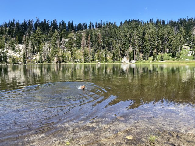 Serenity at Forni Lake