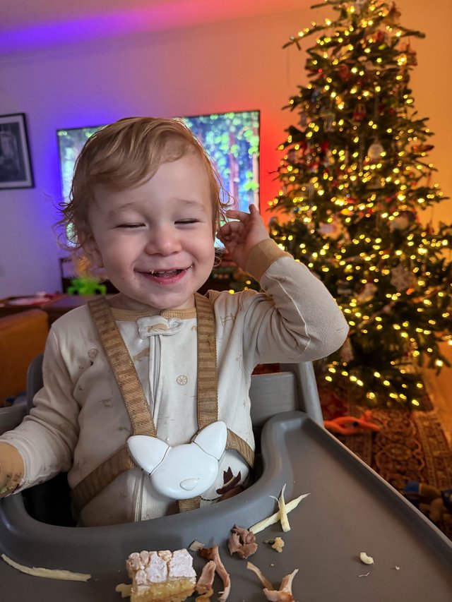 Joyful Toddler's Christmas Celebration at Home