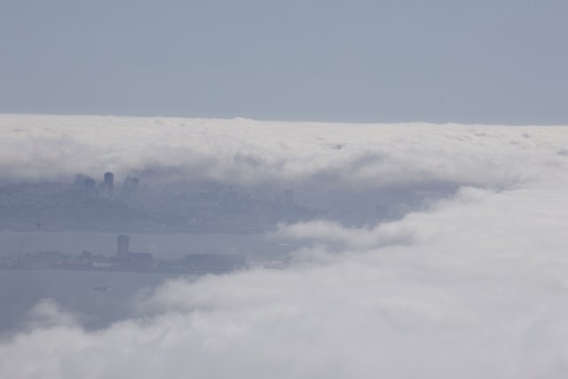 Enveloped in Mist: A City's Winter Cloak