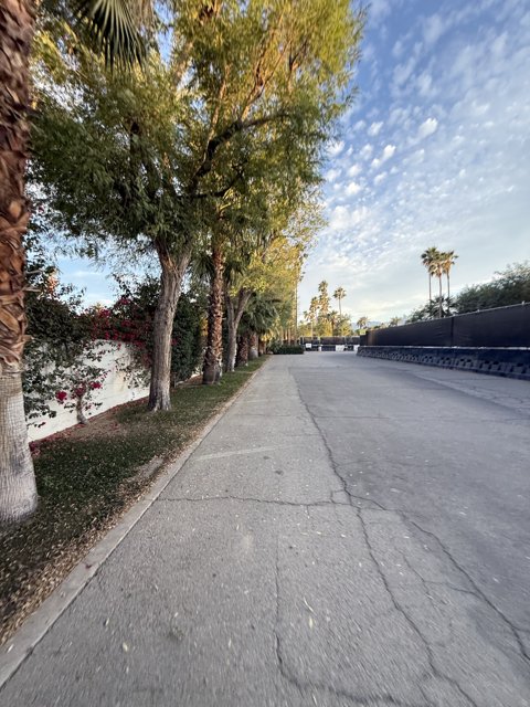 Tranquil Pathway at Empire Polo Club