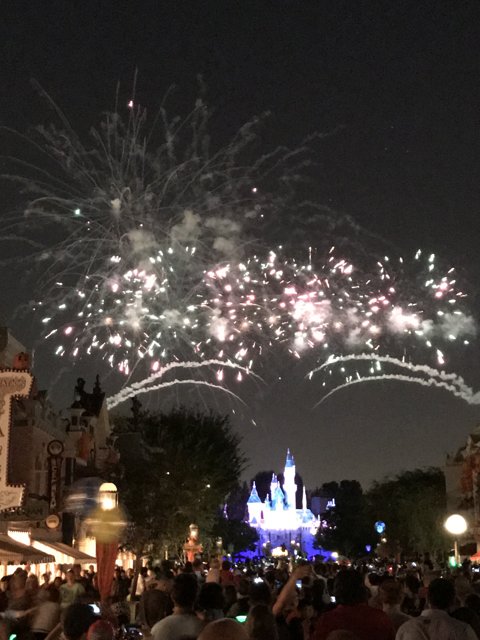 Disneyland Fireworks Spectacular Captivates the Night Sky