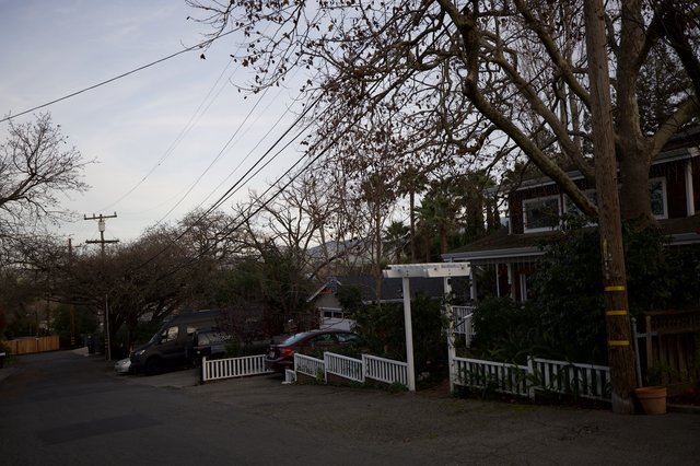 Quiet Residential Street at Dusk with Bare Trees