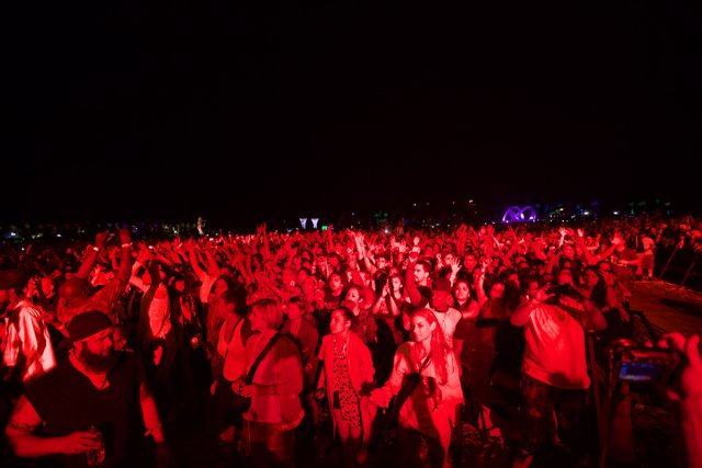 Red Haze Concert Crowd