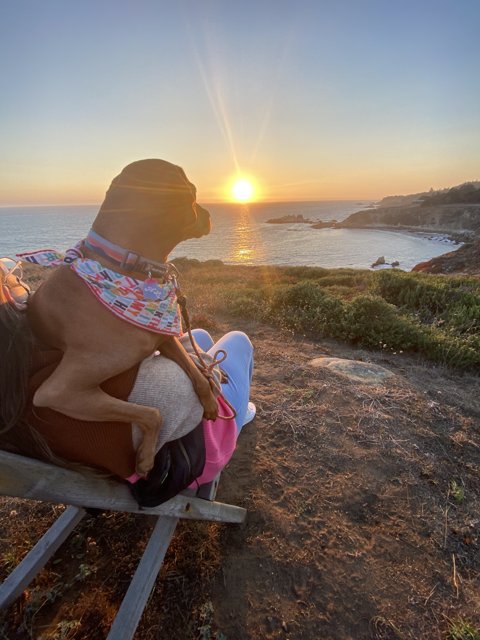 Sunset Serenity with Man's Best Friend