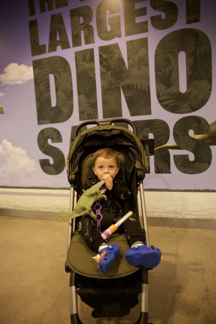 Wesley's Dinosaur Adventure at Golden Gate Park