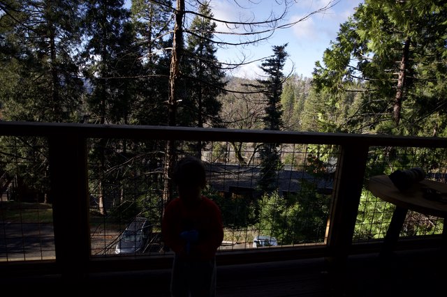 Shadowy Forest View from Mountain Deck at Dusk