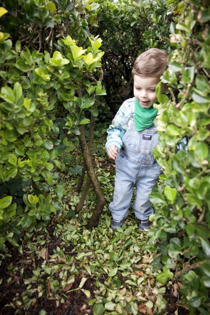 Serenity in Green: Young Explorer Amidst the Foliage