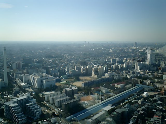 Overlooking Tokyo from the Government Building