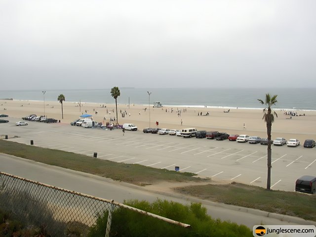 Lifeguard Station Live Camera Overlooking San Diego County