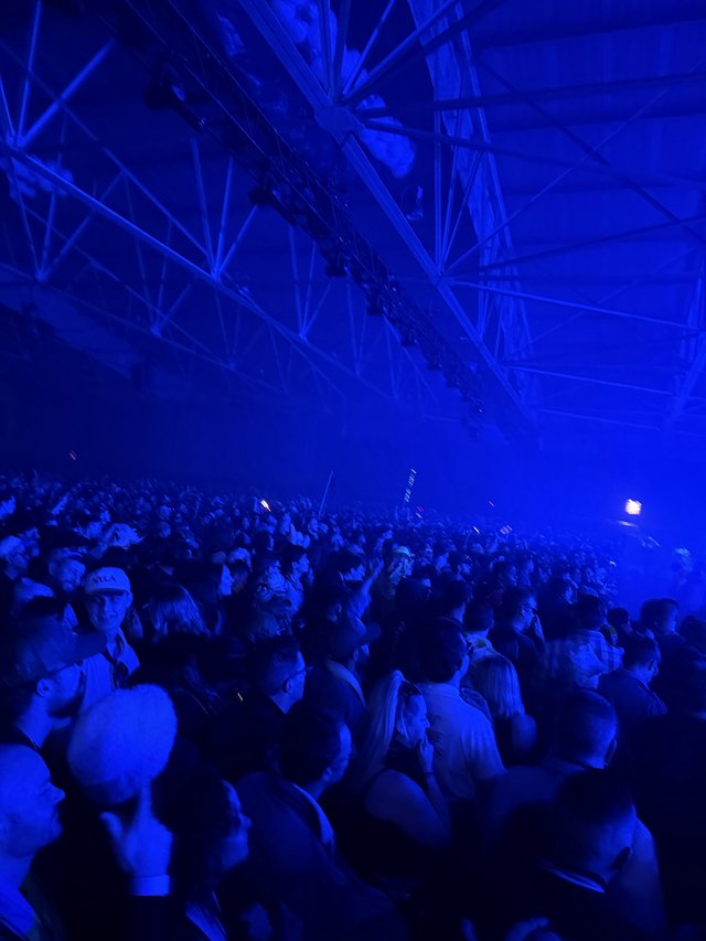 Blue-Lit Crowd at Electronic Music Concert