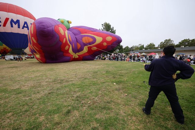 Butterfly Balloon Inflation at Sonoma County Classic