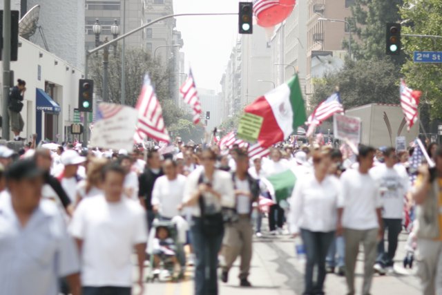 Flag March in the City