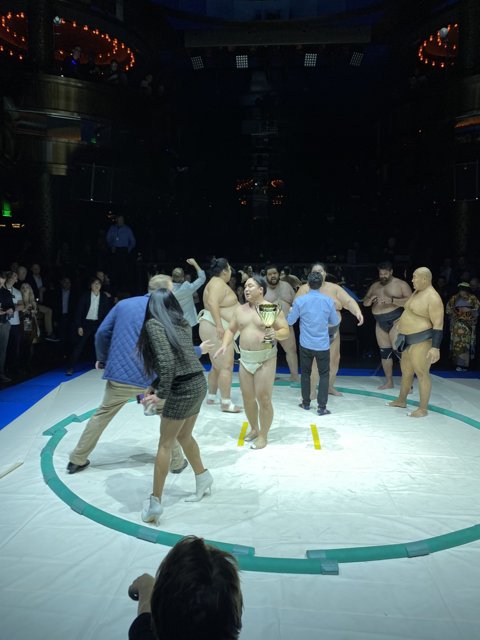 Sumo Wrestling Showdown