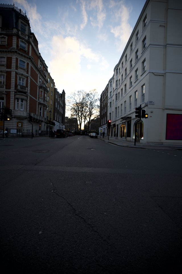 Quiet London Street at Dawn with Bare Tree