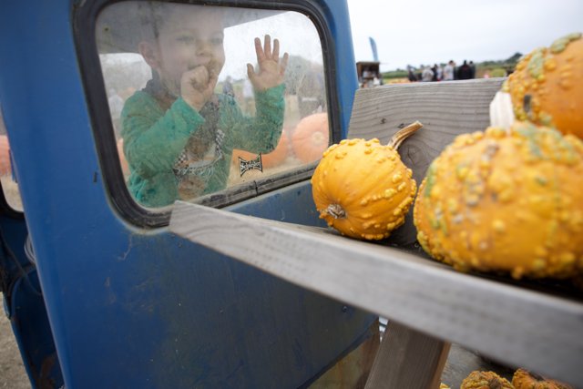 Harvest Joyride