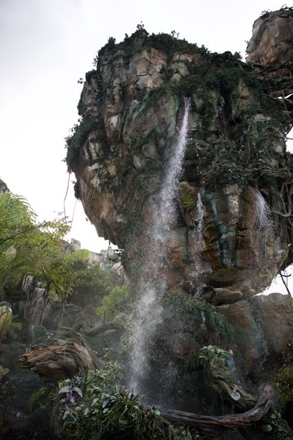 Engulfing Nature's Magnificence at Disneyworld's Animal Kingdom