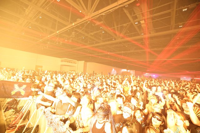 Massive Crowd Surges at Wobbleland 2026 Festival