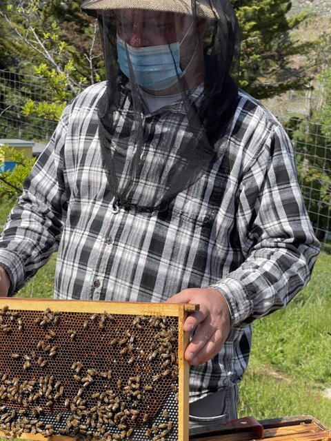 Beekeeping Man in Carmel
