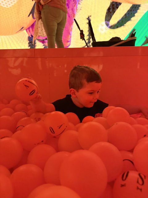Balloon Wonderland at the Palace