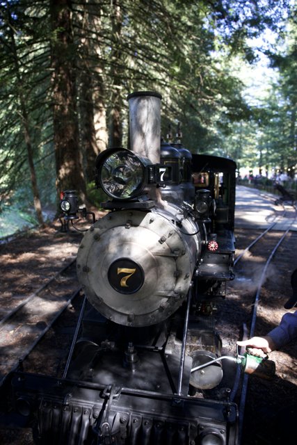 Steam and Whistles: A Day at Tilden Steam Trains