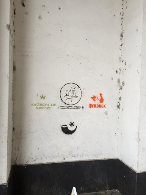 Graffiti in Tbilisi Bathroom