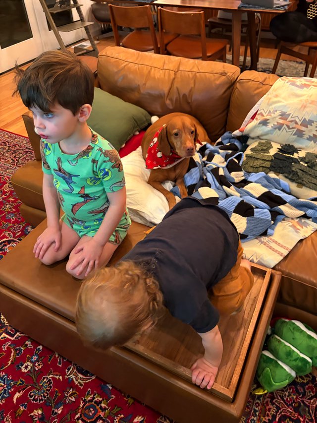 Children and Dog Enjoying Cozy Living Room Moment