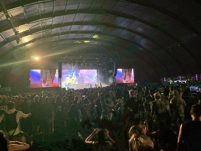 Electric Night Under the Stars